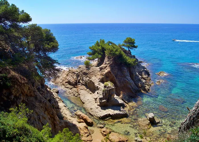 Renovado Cerca De La Playa *