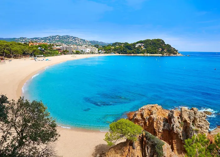 Apartament Renovado Cerca De La Playa